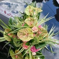 Mariage valenciennes bouquet de mariée voiture