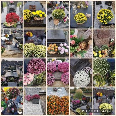 Toussaint Pomponettes Valenciennes Anzin La Sentinelle fleuriste de Valenciennes Hé fleur et moi